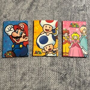 Nintendo Blue and Red Art Painting Set